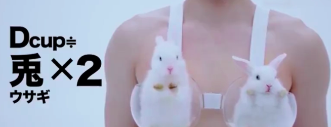 大胸妹纸如何海淘舒适又合适的BRA？小胸勿入！