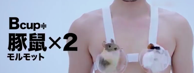 大胸妹纸如何海淘舒适又合适的BRA？小胸勿入！