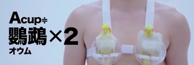 大胸妹纸如何海淘舒适又合适的BRA？小胸勿入！