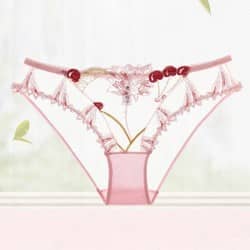 少女美屋 女士三角裤透视内裤 18元