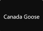Canada Goose加拿大鹅资讯攻略,Canada Goose加拿大鹅优惠券,Canada Goose加拿大鹅优惠商品